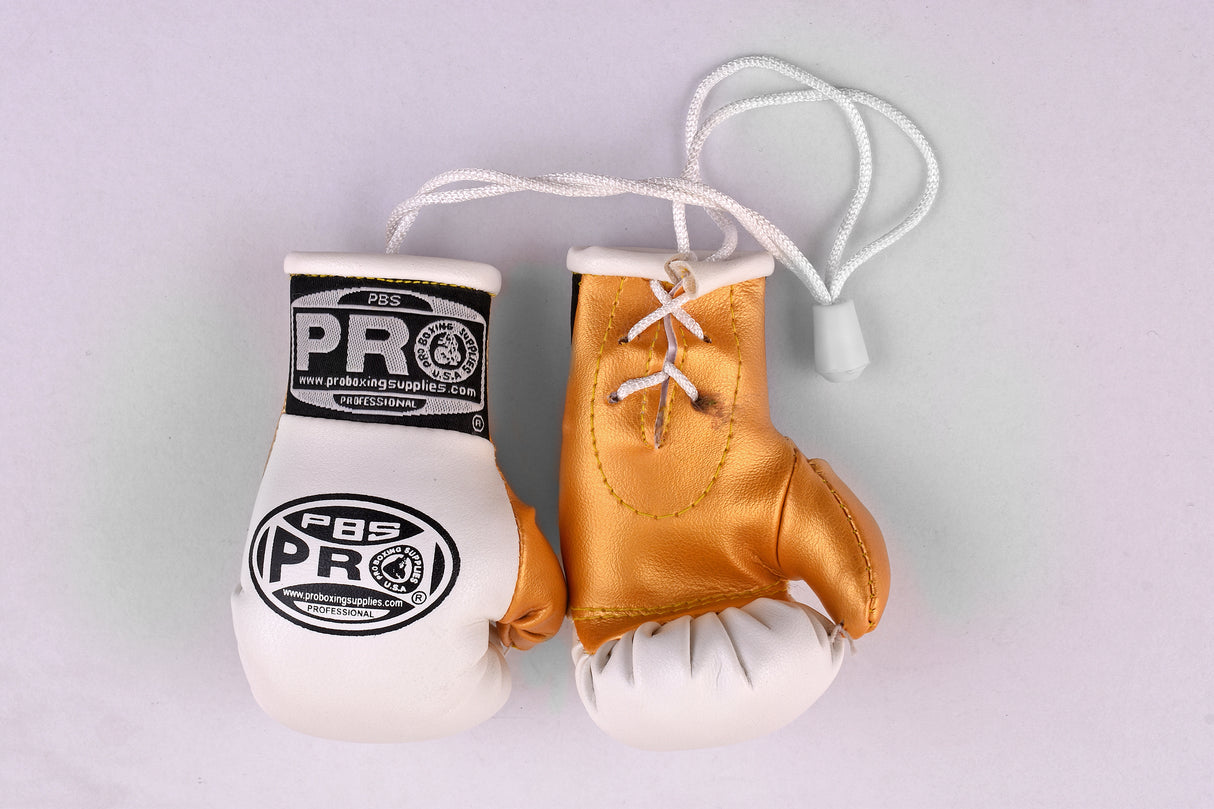 ProBoxing® Mini Gloves