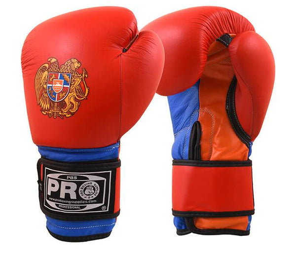ProBoxing® Classic Leather Training Gloves - Armenia – ProBoxing