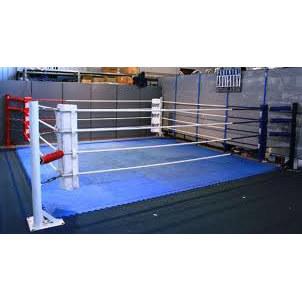 ProBoxing® Floor Ring