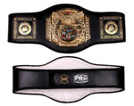 Pro Platinum Championship Belt