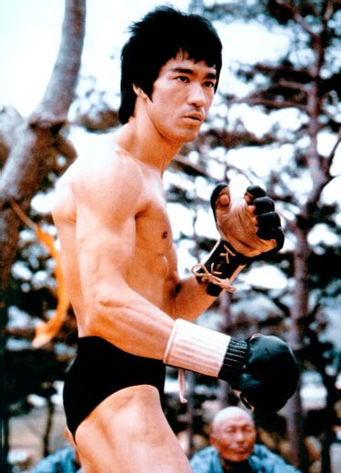 bruce lee handschuhe KENPO GLOVE/BRUCE LEE GLOVE