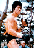 Image of Bruce Lee wearing Kenpo Glove