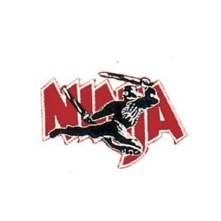 Two Sword Ninja Patch